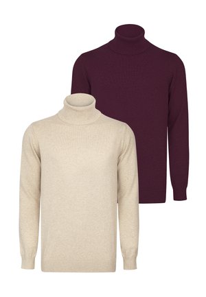 TURTLENECK PACK OF 2 - Trui - light brown