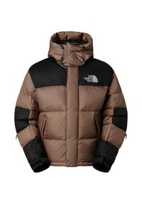 The North Face M HMLYN BALTORO JACKET - Winterjacke - mocha brown/tnf black