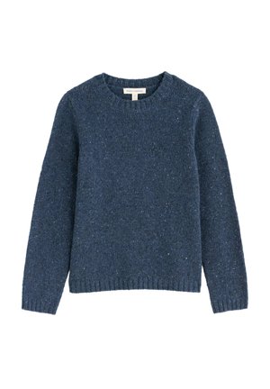Seasalt Cornwall, SEASALT CORNWALL DAWSON PICK JUMPER - Jumper - navy - maritime