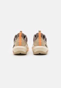 Salomon ELIXIR ACTIV GTX  - Obuća za pješačenje - falcon/white pepper/papaya
