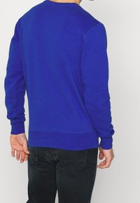 Sweat-shirt bleu à col rond, avec poignets et ourlet côtelés. Texture douce, coupe décontractée, sans motifs ni logos visibles. Porté avec un pantalon noir.