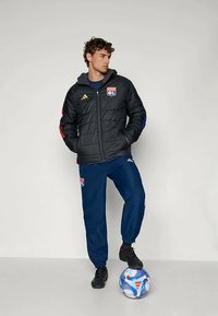 adidas Performance OLYMPIQUE LYONNAIS 25/26 TIRO24 WINTER JACKET - Chaqueta outdoor - carbon/hazy beige