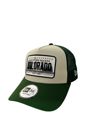 New Balance 9FORTY LICENCE PLATE UNISEX - Casquette - beige green
