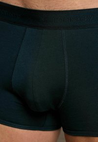 Calzoncillos ajustados de hombre negros con costuras visibles y una cinturilla en la parte inferior del torso y los muslos superiores de una persona.