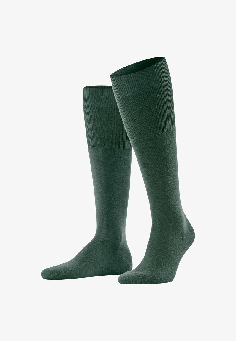 FALKE AIRPORT - Kniestrümpfe - hunter green