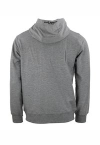 Peak Mountain ZIPPÉ À  CAGE - Felpa con zip - gris