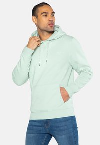 Threadbare CLEMENTINE - Jersey con capucha - sage