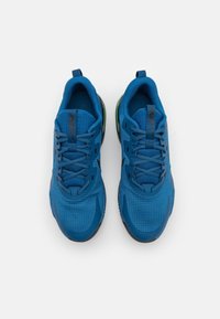 Nike Performance Scarpe da allenamento - blue