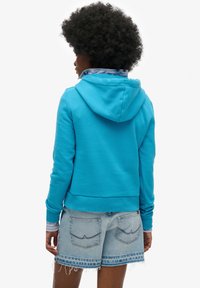 Personne aux cheveux bouclés portant un sweat à capuche turquoise sur une chemise rayée bleue et un short en jean effiloché, vue de dos sur un fond blanc.