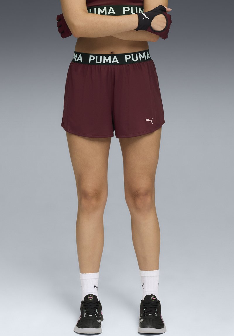 Bordeaux värvi sportlikud šortid, millel on elastne vöökohus ning millel on must ja valge "PUMA" logo. Näitavad kerget kangast ja logot.