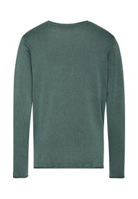 Langarmiger grüner Pullover mit rundem Ausschnitt, aus weichem Strickstoff, der eine glatte Textur und eine einfarbige Optik ohne sichtbare Muster aufweist.