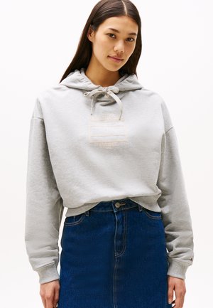 OUTLINE FLAG HOODIE - Sudadera - light grey