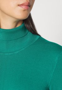 Visage inférieur et cou d'une femme aux longs cheveux foncés portant un pull à col roulé côtelé vert, sur fond uni.