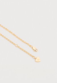 Kuldse kettaga kaelakee, millel on homaari kinnis ja väike südamekujuline ripats, millel on graveeritud initsiaalid "RL", helel taustal.