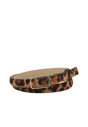 Thin leopard print belt with a small gold rectangular buckle, rolled in a loose coil on a white background.