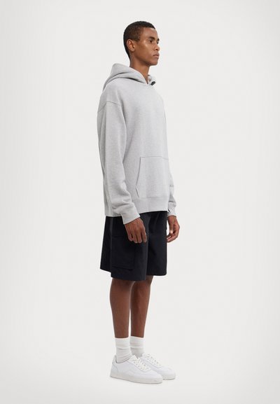 Zadig & Voltaire MULTICUSTOS - Sweat à capuche - gris chine