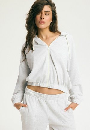 ESOTIQ POWERHOUSE - Mikina so zipsom - light grey