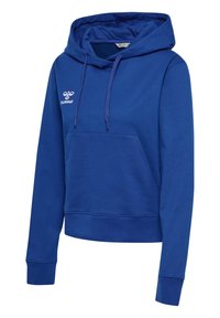 Blaues Kapuzensweatshirt aus glattem Stoff. Verfügt über eine Kängurutasche, Zugbänder und ein Logo auf der Brust. Lange Ärmel mit gerippten Bündchen.