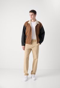 Tommy Jeans RYAN - Hlače - gentle gold