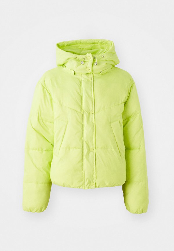 Winter jacket - lime2