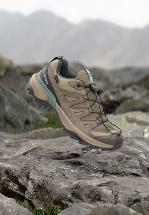 Salomon, X ULTRA 360 LTR GORE TEX - Chaussures de marche - desert tan/iron/green milieu