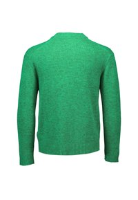 Groene trui met een gestructureerde brei, ronde halslijn en geribde manchetten en onderrand, van achteren weergegeven, waarbij de effen kleur wordt benadrukt.