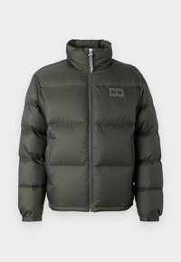 Não selecionado, pewter green