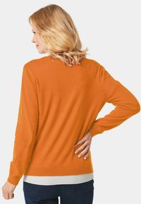 Oranje pullover sweater gemaakt van gebreide stof, lange mouwen, geribbelde zoom en achteraanzicht dat een ontspannen pasvorm en een gladde textuur laat zien.