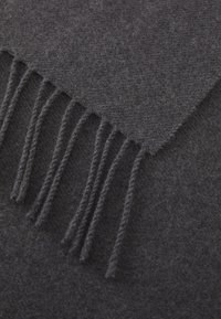 Écharpe en laine grise foncée avec une texture lisse, ornée de longs détails de frange torsadée sur un bord. Design doux et léger.