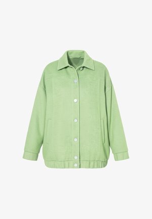 Giacca verde chiaro con bottoni, maniche lunghe, collo, tasche laterali e orlo leggermente elasticizzato.