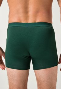 Cajones de algodón verde oscuro con un ajuste ceñido, que cuentan con una cinturilla suave y una textura lisa, con costuras de dobladillo visibles.