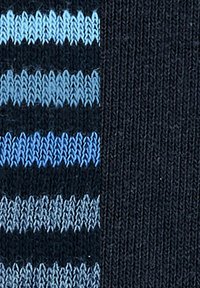 Burlington ONE SIZE EVERYDAY STRIPE SO - MIXED 2-PACK - Socken - blau