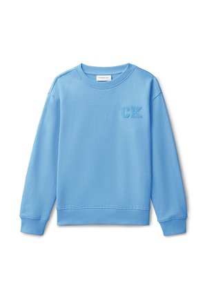 RELAXED LOGO  - Sweatshirt - provence  tcx