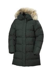 No seleccionado, dark jungle