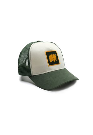 CLASSIC TRUCKER - Gorra - green