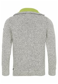 Maglione lavorato a maglia grigio con un motivo testurizzato. Caratterizzato da un colletto a coste verde e una vestibilità standard. Maniche lunghe. Vista dal retro.
