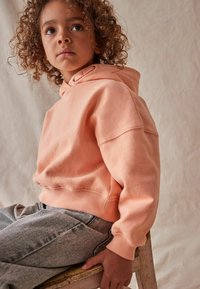 Next CROPPED - Kapuutsiga pusa - orange apricot