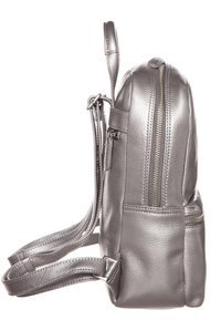 Picard LUIS (28 cm) - Tagesrucksack - altsilber