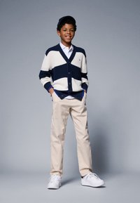 Cardigan rayé bleu marine et blanc, boutonné, porté sur une chemise blanche à col, associé à un pantalon beige et des baskets blanches. Style minimaliste, coupe décontractée.