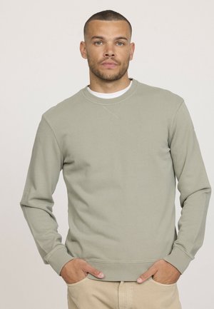 Sweatshirt vert clair en mélange de coton, avec un col rond et des poignets côtelés. Texture douce avec un design simple et sans ornement.