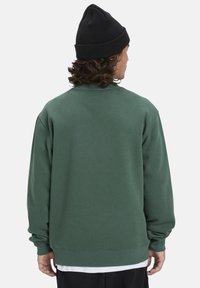Green sweatshirt with a relaxed fit, round neckline, and long sleeves. Soft texture, ribbed cuffs, and a visible logo on the back.