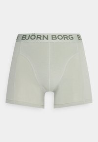 Φωτεινά πράσινα κουμπωτά σλιπάκια με μαύρη ζώνη "BJÖRN BORG". Κατασκευασμένα από μια λεία, ελαστική ύλη, διαθέτουν επίπεδους ραφές και κλασική γραμμή.