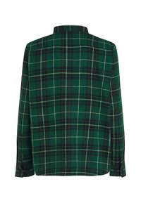 Grønternet flannel skjorte med lange ærmer, krave og knaplukning ved manchetterne. Har hvide og mørkegrønne lodrette og vandrette linjer.