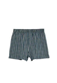 Calzoncillos en patrones de cuadros azules, verdes y blancos; fabricados en algodón con una cinturilla elástica y un cierre con botón en la parte delantera.