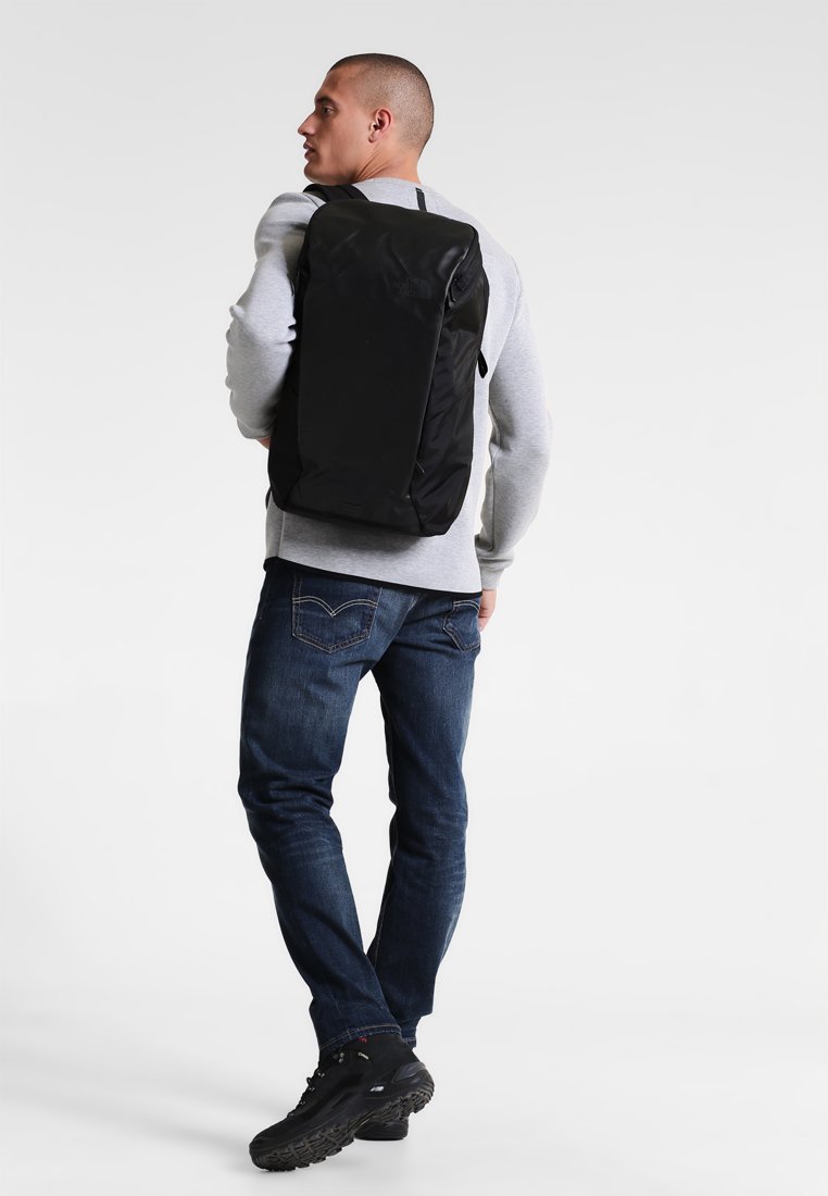 brahmin bailee