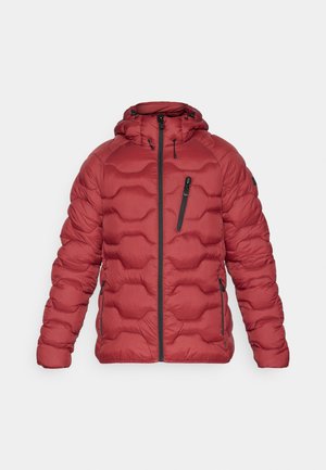 Icepeak BRANCH - Casaco de inverno - wine