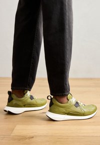 Wybrany, acorn/acorn/peat