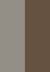 warm silver / jungle green