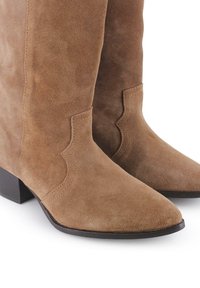 Botines de ante marrón con punta afilada, detalle de costura en el contorno y un bajo tacón de madera. Textura suave y variaciones sutiles de color.