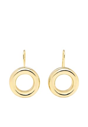 Gouden ronde oorbellen met een holle kern en een gladde, glanzende textuur. Bevestigd met een eenvoudige haak voor gemakkelijk dragen.